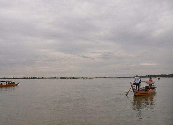 attraction-Irrawaddy Dolphins 3.jpg